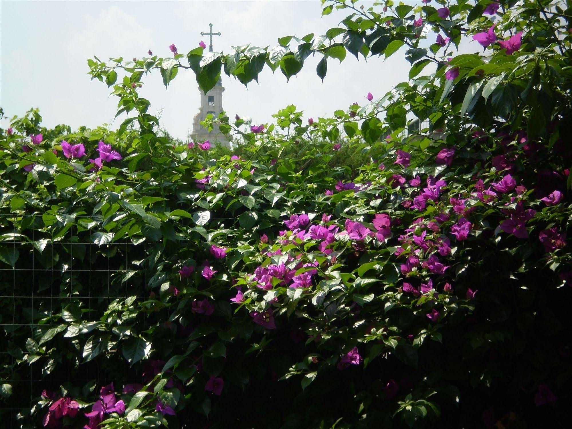 B&B Pompei Welcome Ngoại thất bức ảnh